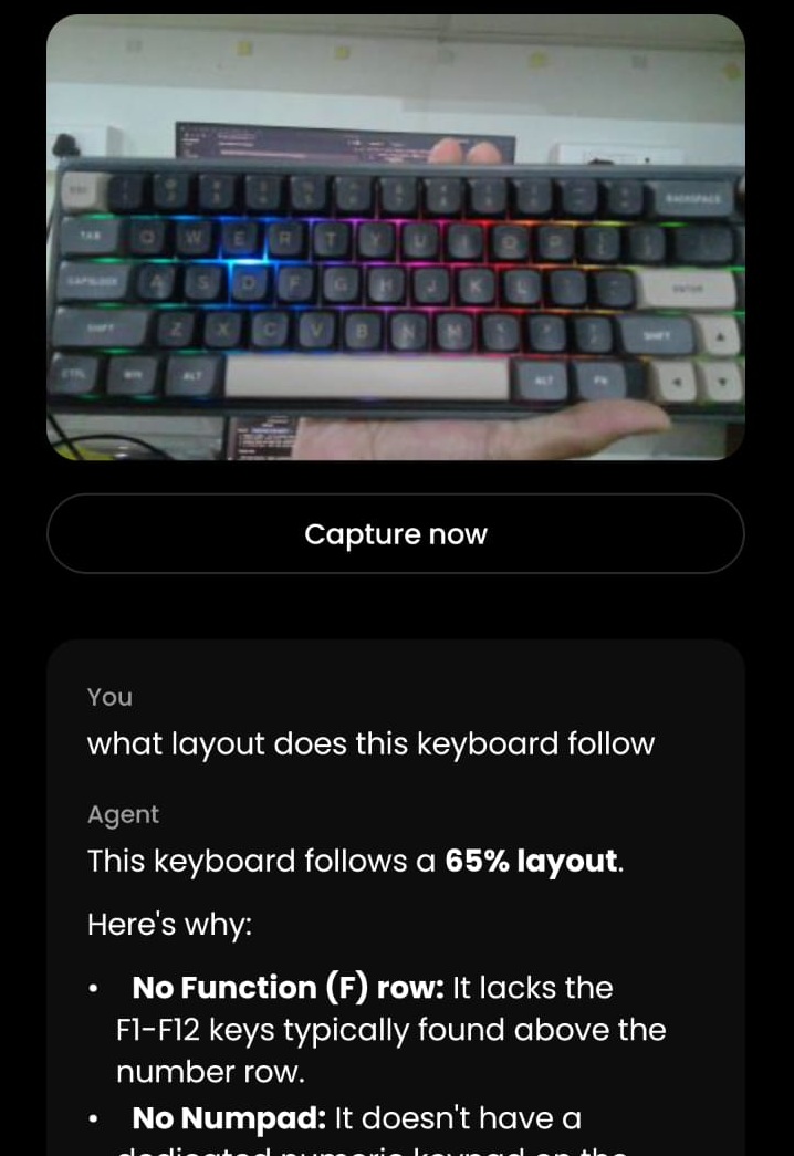 The app answering a question about a captured image